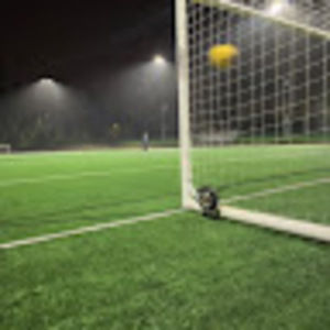 Meet your Posher, Lion